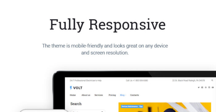 Volt - Tema WordPress Layanan Listrik Lokal - Fitur Gambar 14
