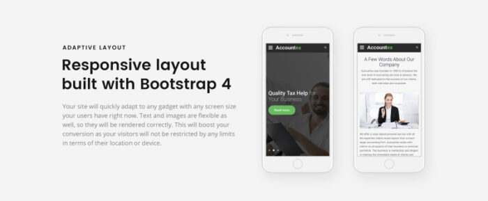 Accountex - Template Situs Web HTML Multihalaman Bersih Akuntansi - Fitur Gambar 6