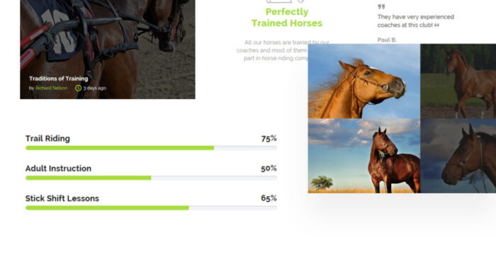 Manetgen - Template Situs Web Multihalaman Responsif Berkuda - Fitur Gambar 3
