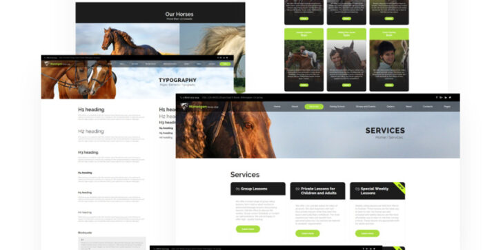 Manetgen - Template Situs Web Multihalaman Responsif Berkuda - Fitur Gambar 5