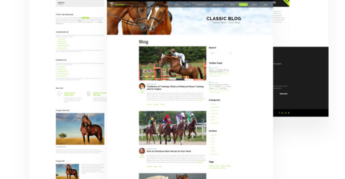 Manetgen - Template Situs Web Multihalaman Responsif Berkuda - Fitur Gambar 6
