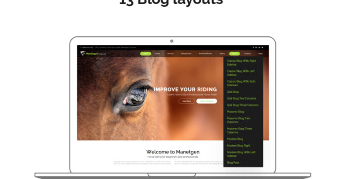 Manetgen - Template Situs Web Multihalaman Responsif Berkuda - Fitur Gambar 8