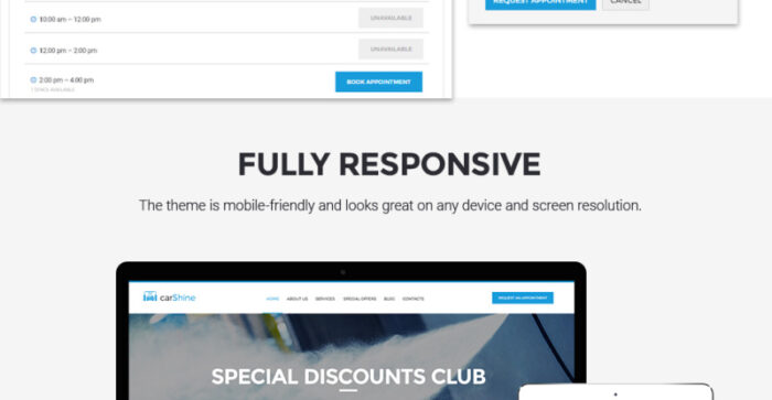 CarShine - Tema WordPress Pencucian Mobil - Fitur Gambar 10