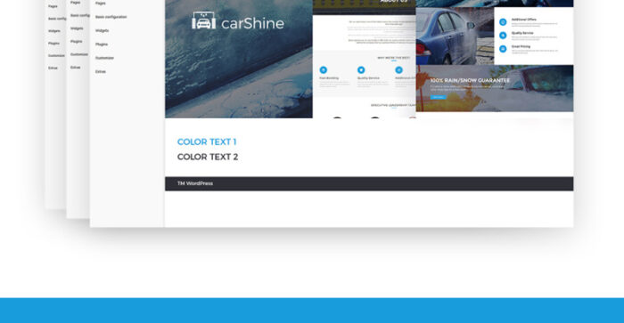 CarShine - Tema WordPress Pencucian Mobil - Fitur Gambar 17