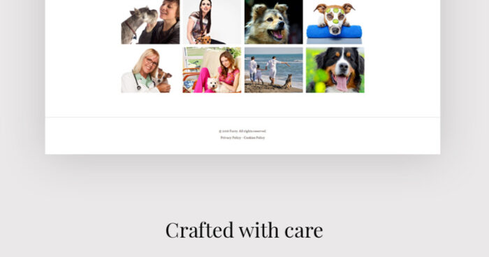 Furry - Tema WordPress Perawatan Hewan Peliharaan - Fitur Gambar 8