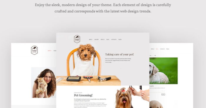 Furry - Tema WordPress Perawatan Hewan Peliharaan - Fitur Gambar 9