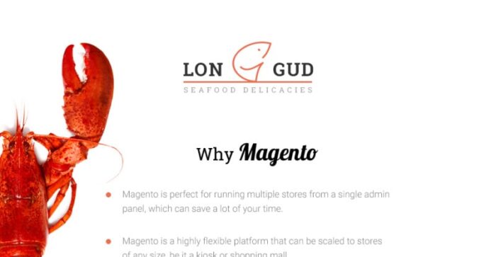 Longud - Makanan Laut Magento Theme - Fitur Gambar 1