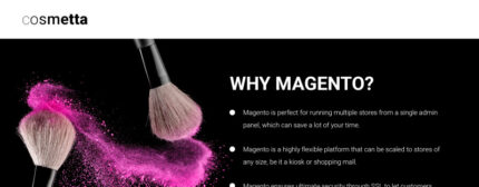 Cosmetta - Tema Toko Kosmetik Magento - Fitur Gambar 1