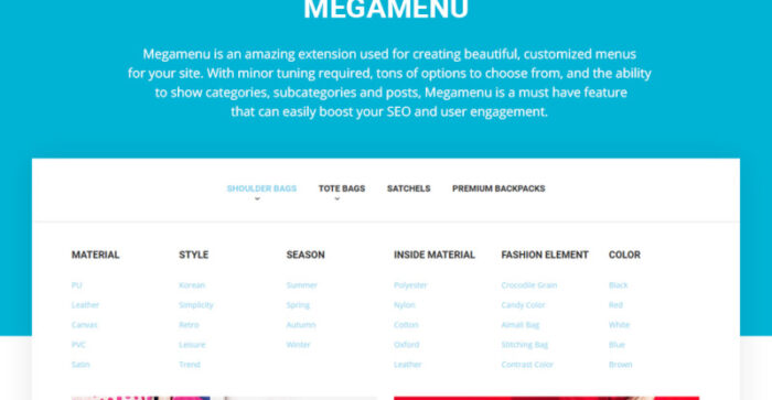 Tema Magento 2 Fashion & Tas Tangan Tema Magento - Fitur Gambar 5