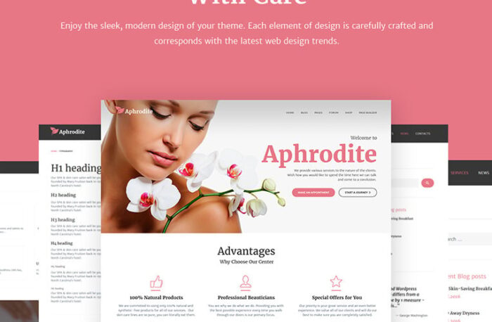 Aphrodite - Tema WordPress Responsif Salon Kecantikan & SPA - Fitur Gambar 6