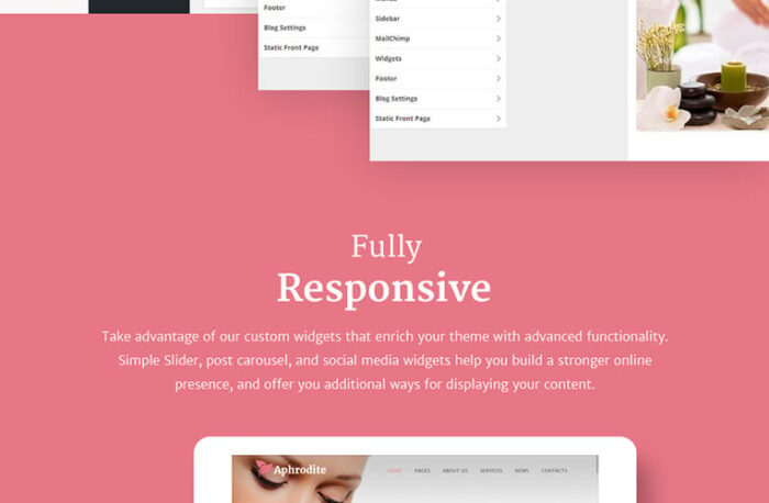 Aphrodite - Tema WordPress Responsif Salon Kecantikan & SPA - Fitur Gambar 11