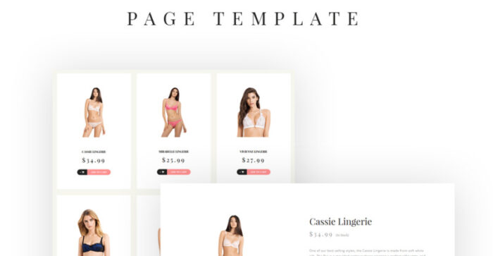 LS - Template Situs Web Responsif Multihalaman Toko Pakaian Dalam Fashion - Fitur Gambar 9