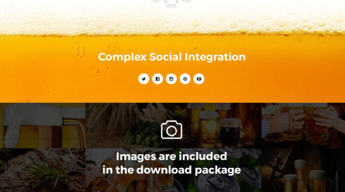 BeerPub - Template Situs Web Multihalaman Makanan dan Restoran - Fitur Gambar 9