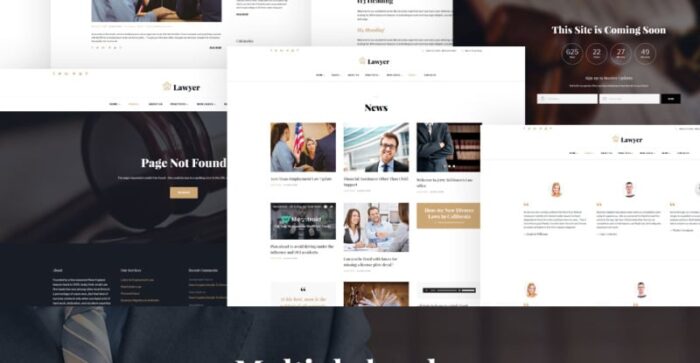 Template Situs Web Multihalaman Pengacara & Jaksa - Fitur Gambar 7