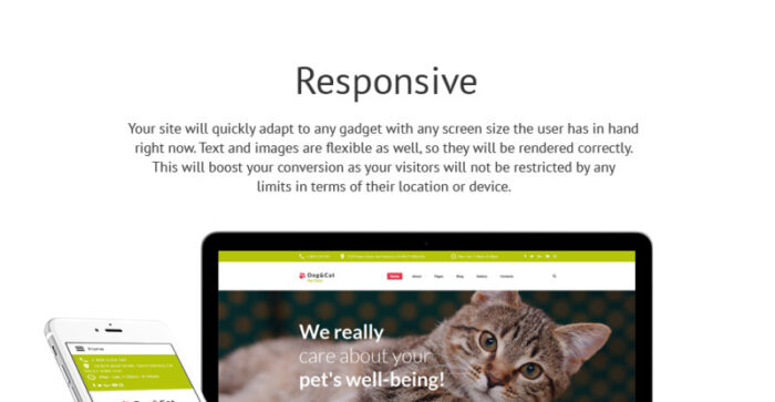 Template Joomla Responsif untuk Klinik Hewan Peliharaan Anjing & Kucing - Fitur Gambar 1