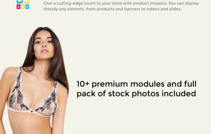 Eveprest - Tema Lingerie PrestaShop - Fitur Gambar 9