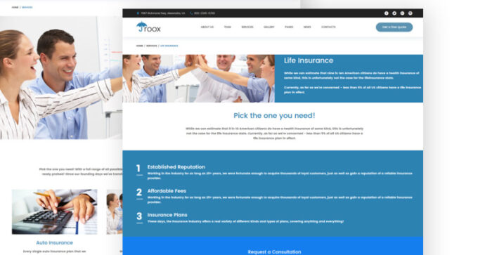 Roox - Tema WordPress Asuransi - Fitur Gambar 4