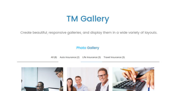 Roox - Tema WordPress Asuransi - Fitur Gambar 8