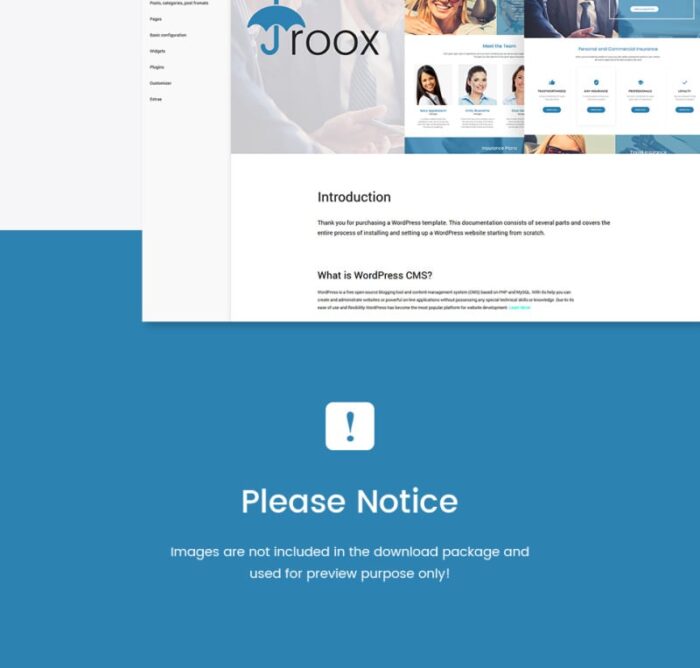 Roox - Tema WordPress Asuransi - Fitur Gambar 35