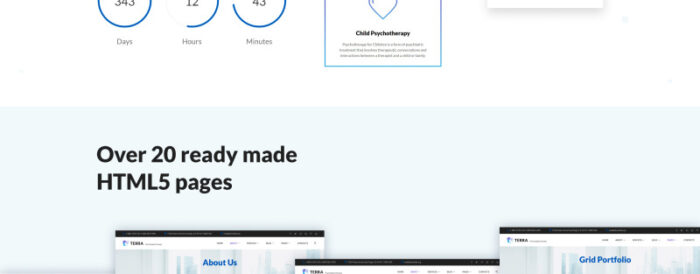 Terra - Template Situs Web Responsif Psikolog - Fitur Gambar 4