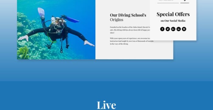 NavyBlue - Tema WordPress Responsif Scuba Diving Club - Fitur Gambar 11