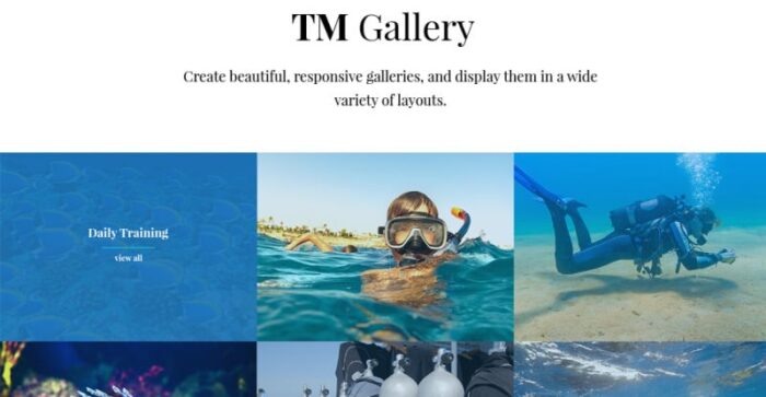 NavyBlue - Tema WordPress Responsif Scuba Diving Club - Fitur Gambar 16