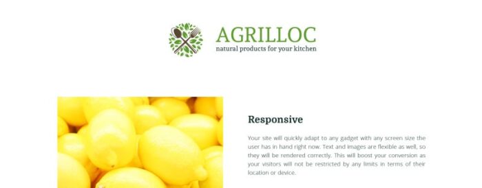 Agrilloc - Template OpenCart Responsif Toko Produk Alami - Fitur Gambar 1