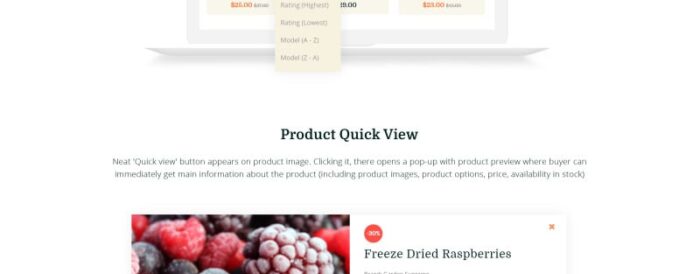 Agrilloc - Template OpenCart Responsif Toko Produk Alami - Fitur Gambar 6