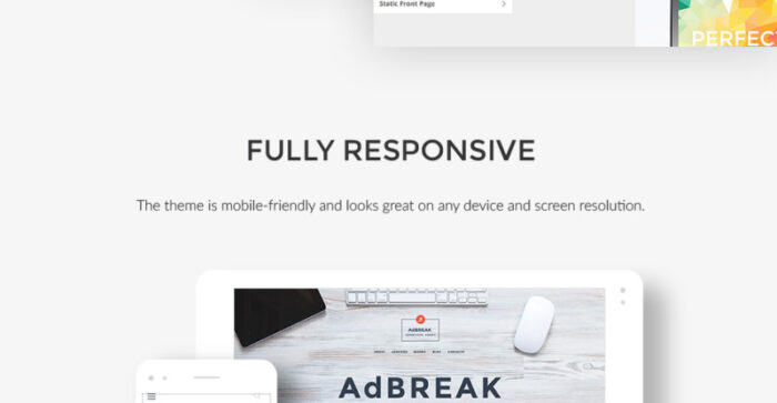 AdBreak - Tema WordPress Perusahaan Periklanan - Fitur Gambar 19