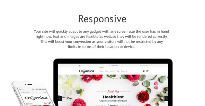 Tema Shopify Responsif Toko Kosmetik - Fitur Gambar 1