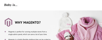 Babyis - Tema Magento Responsif Toko Pakaian Bayi - Fitur Gambar 1