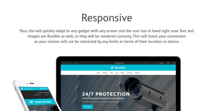 Securax - Template OpenCart Responsif Toko Peralatan Keamanan - Fitur Gambar 2