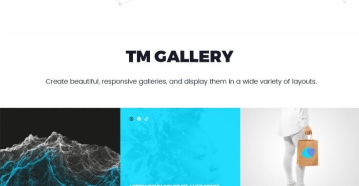 Tema WordPress Swanxy - Fitur Gambar 14