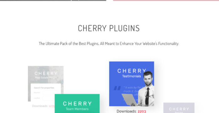 Peony - Tema WordPress Agensi Pemodelan Mode - Fitur Gambar 3