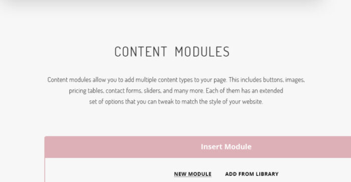 Peony - Tema WordPress Agensi Pemodelan Mode - Fitur Gambar 7