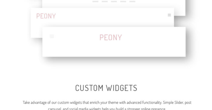 Peony - Tema WordPress Agensi Pemodelan Mode - Fitur Gambar 14