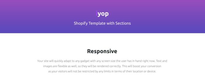 Tema Shopify Responsif Toko Komputer - Fitur Gambar 1