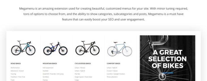 AllyBike - Toko Perlengkapan Bersepeda Tema Magento Responsif - Fitur Gambar 6