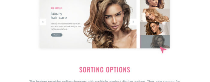 Template OpenCart Responsif Salon Rambut - Fitur Gambar 7