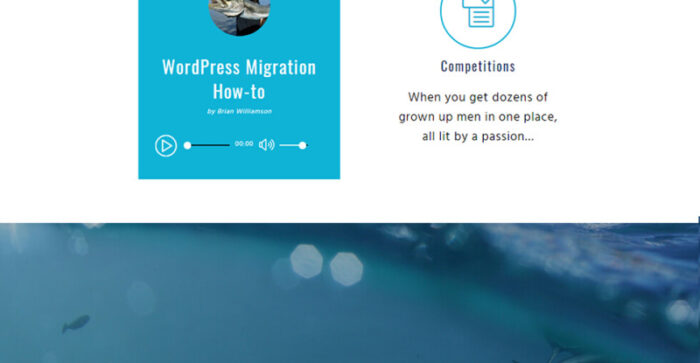 Sail Fish - Tema WordPress Responsif Fishing Club - Fitur Gambar 17