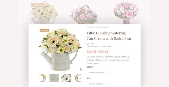 Amaryllis - Tema Toko Bunga WooCommerce - Fitur Gambar 13