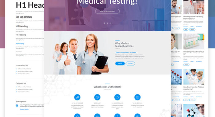 MediCheck - Tema WordPress Responsif Laboratorium Medis - Fitur Gambar 11