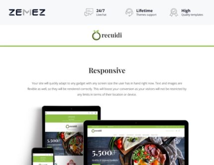 Recuidi - Tema Magento Toko Makanan Sehat - Fitur Gambar 1