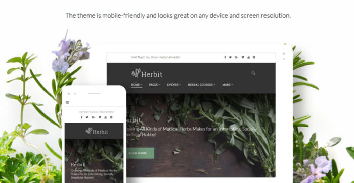 Tema WordPress Herbit - Fitur Gambar 22