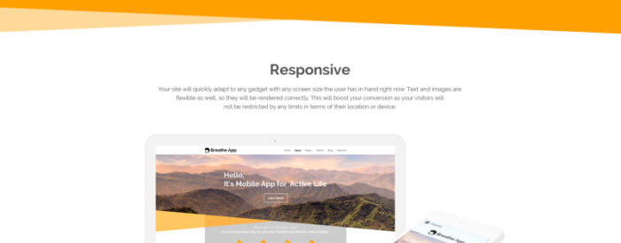 Template Joomla Responsif Perangkat Lunak - Fitur Gambar 1