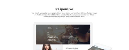 Template Joomla Responsif TI - Fitur Gambar 1