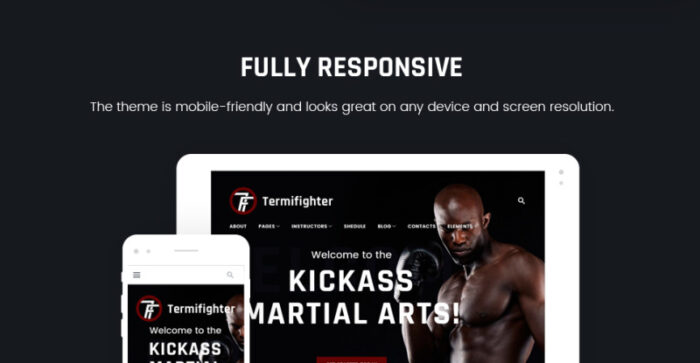 Termifighter - Tema WordPress Responsif Klub Seni Bela Diri - Fitur Gambar 21