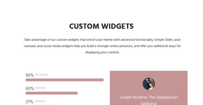 Voodioo - Tema WordPress Responsif Videografer - Fitur Gambar 14