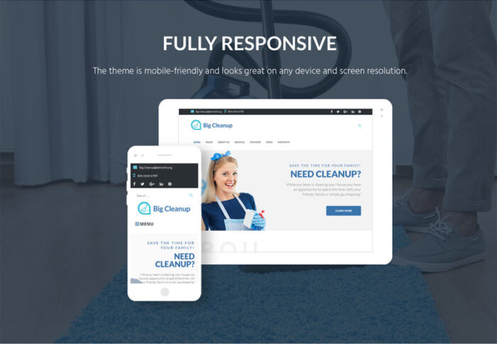 Big Cleanup - Tema WordPress Responsif Layanan Kebersihan - Fitur Gambar 7