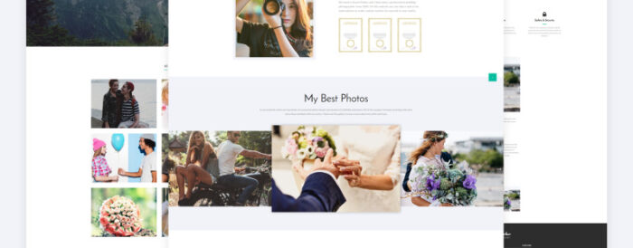 Susan Parker - Template Situs Web Multihalaman Fotografer Kisah Cinta - Fitur Gambar 8